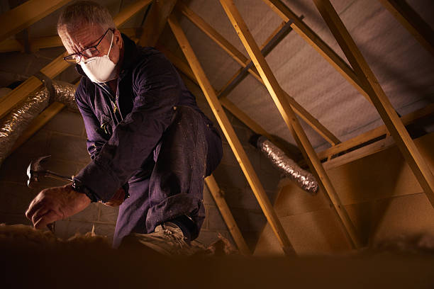 Best Insulation Maintenance and Repair in Bernice, LA